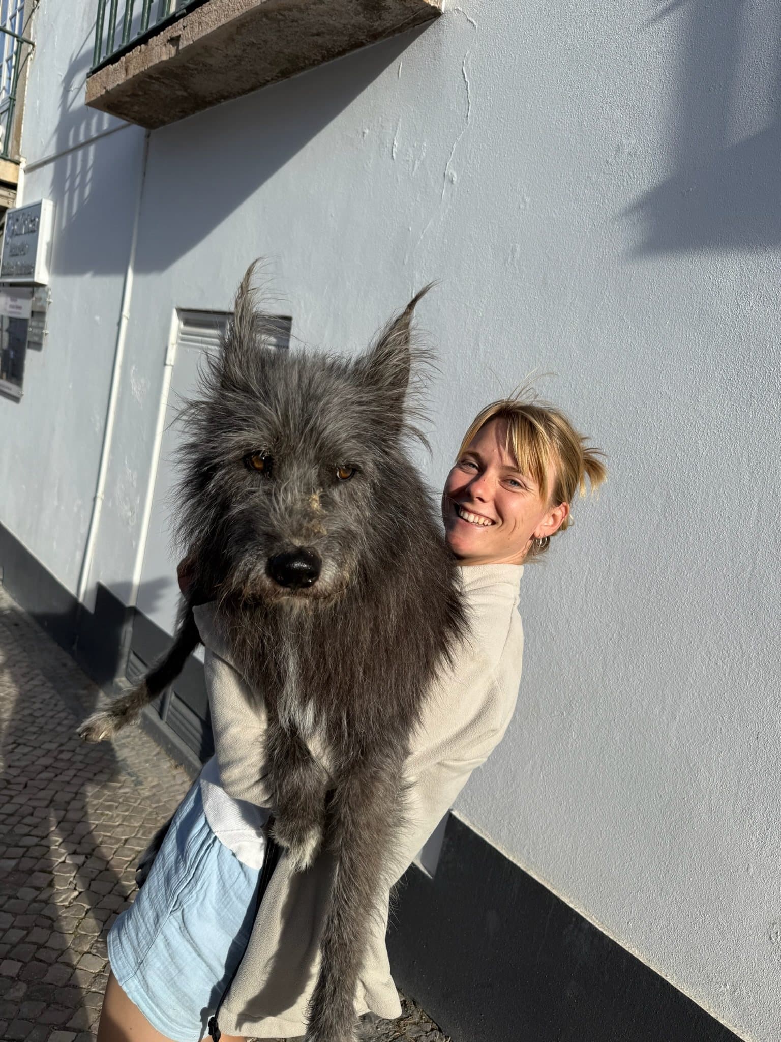 Paula laughing as she carries a big shaggy grey dog