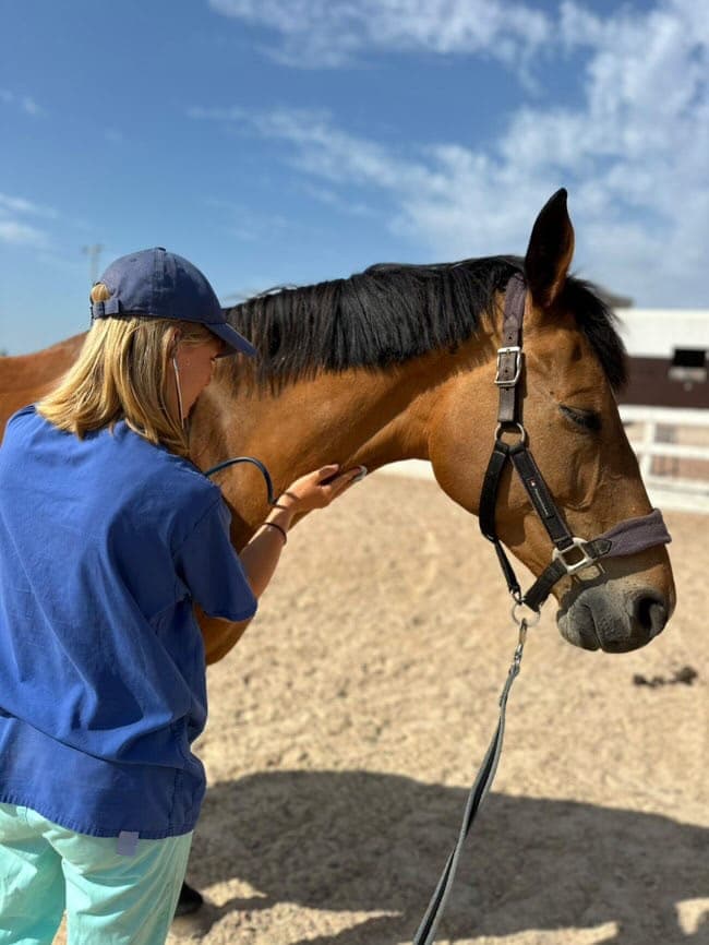 Paula Siebert, veterinary surgeon